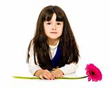 little girl with red gerber flower.  isolated