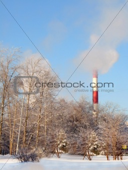 Ecological issues. Smoking chimneys and winter wood 