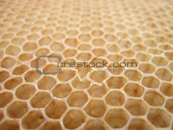 beeswax texture without honey