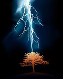 Lightning stroke in a lonely tree against