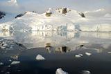 icy view of antarctic