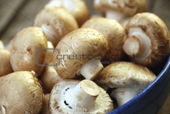 mushrooms in bowl