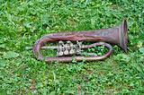 lost old trumpet in the grass
