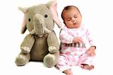 baby girl with sitting and sleeping with elephant toy next to her