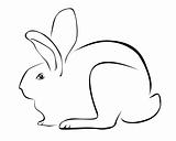 Tracing of a rabbit