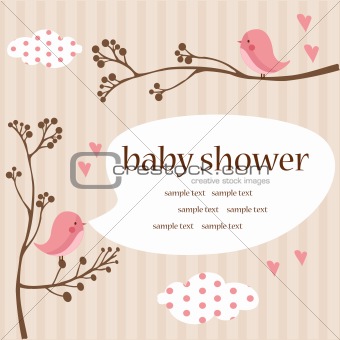 baby girl shower