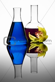 Two colorful flasks with flower