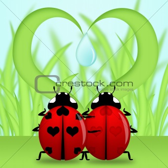 Ladybug Couple Under Heart Shape Grass