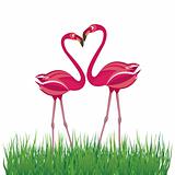 Two flamingo in love. Vector illustration