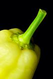 Yellow  pepper isolated 