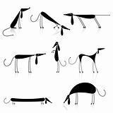 Funny black dogs silhouette, collection for your design 