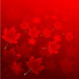 abstract flora background