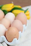 Brown chicken eggs and tulips