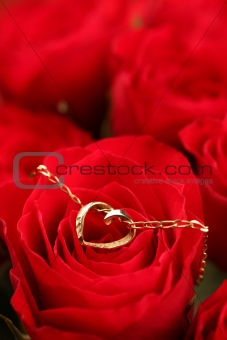 Gold necklace with heart on rose