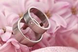 Wedding rings on pink hyacinth