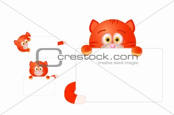 red cat with blank sign