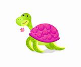cute turtle toy