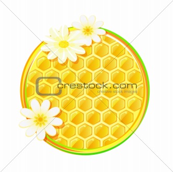 honeycomb in circle with chamomile flower