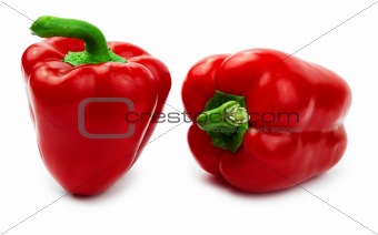 Paprika isolated on a white background