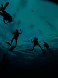 3 metres, 5 minutes, adventure, assist, black, blue, breathe, bubbles, buoy, diver, explore, fin, help, hold hand, level, natural light, ocean, safety, safety stop, scuba, silhouette, time, together, underwater