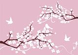 blossom branches