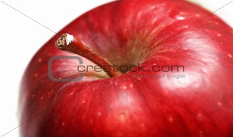 red apple, macro