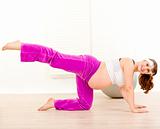 Smiling beautiful pregnant woman doing aerobics exercise  at home
