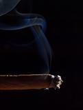 Cigar smoke