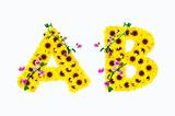 sunflower alphabet A B isolated on white background
