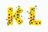 sunflower alphabet K L isolated on white background