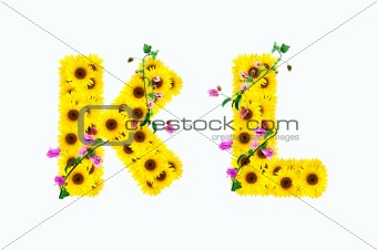 sunflower alphabet K L isolated on white background