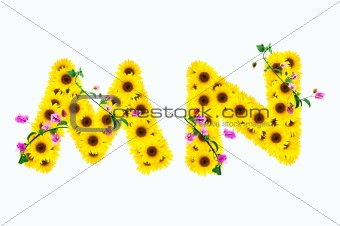 sunflower alphabet M N isolated on white background