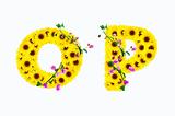 sunflower alphabet O P isolated on white background
