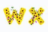 sunflower alphabet W X isolated on white background