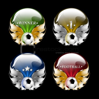 vector football emblem