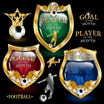 football emblem