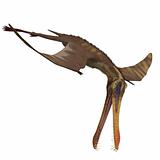 Dinosaur Anhanguera Pterosaur