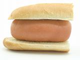 Huge sausage between rolls