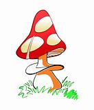 Vector illustration of red mushroom with white spots