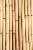 natural bamboo 