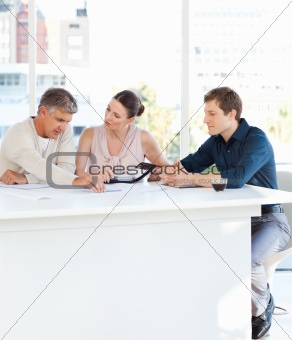 Coworkers working in their office