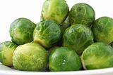 Green ripe cabbage