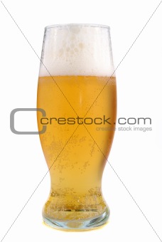 golden beer