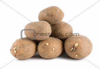 Old potatoes