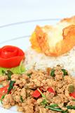 Thai spicy food, stir fried chicken whit basil on rice