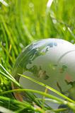glass globe or earth in grass