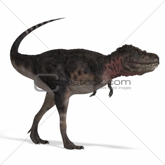 Dinosaur Tarbosaurus