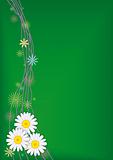 Three daisies on green vector background