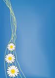 Three daisies on blue vector background with three-dimensional halftone