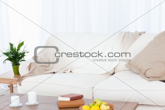 A sofa in the living room